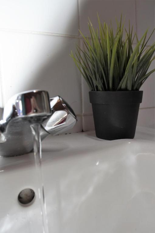 Edinburgh City Centre Guesthouse Apartment エクステリア 写真